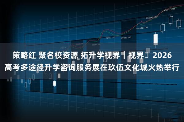 策略红 聚名校资源 拓升学视界｜视界・2026高考多途径升学咨询服务展在玖伍文化城火热举行