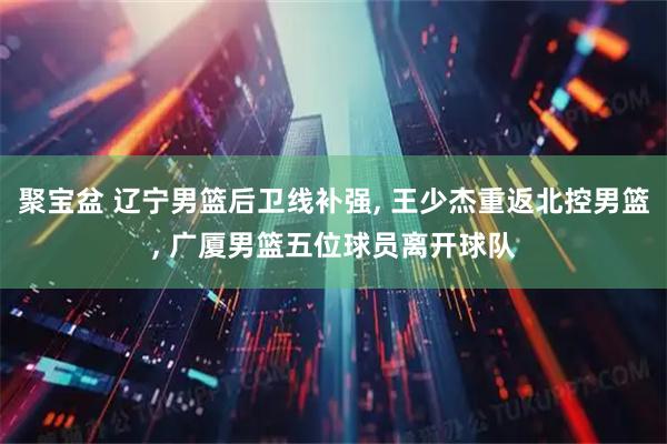 聚宝盆 辽宁男篮后卫线补强, 王少杰重返北控男篮, 广厦男篮五位球员离开球队